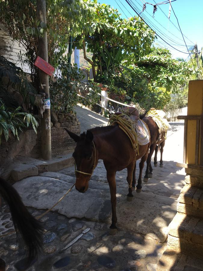 イェラパ Casa Beritaヴィラ エクステリア 写真